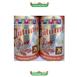 Atumn Rain