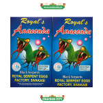 Anaconda Snake