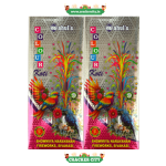 Flower Pot Colour Koti